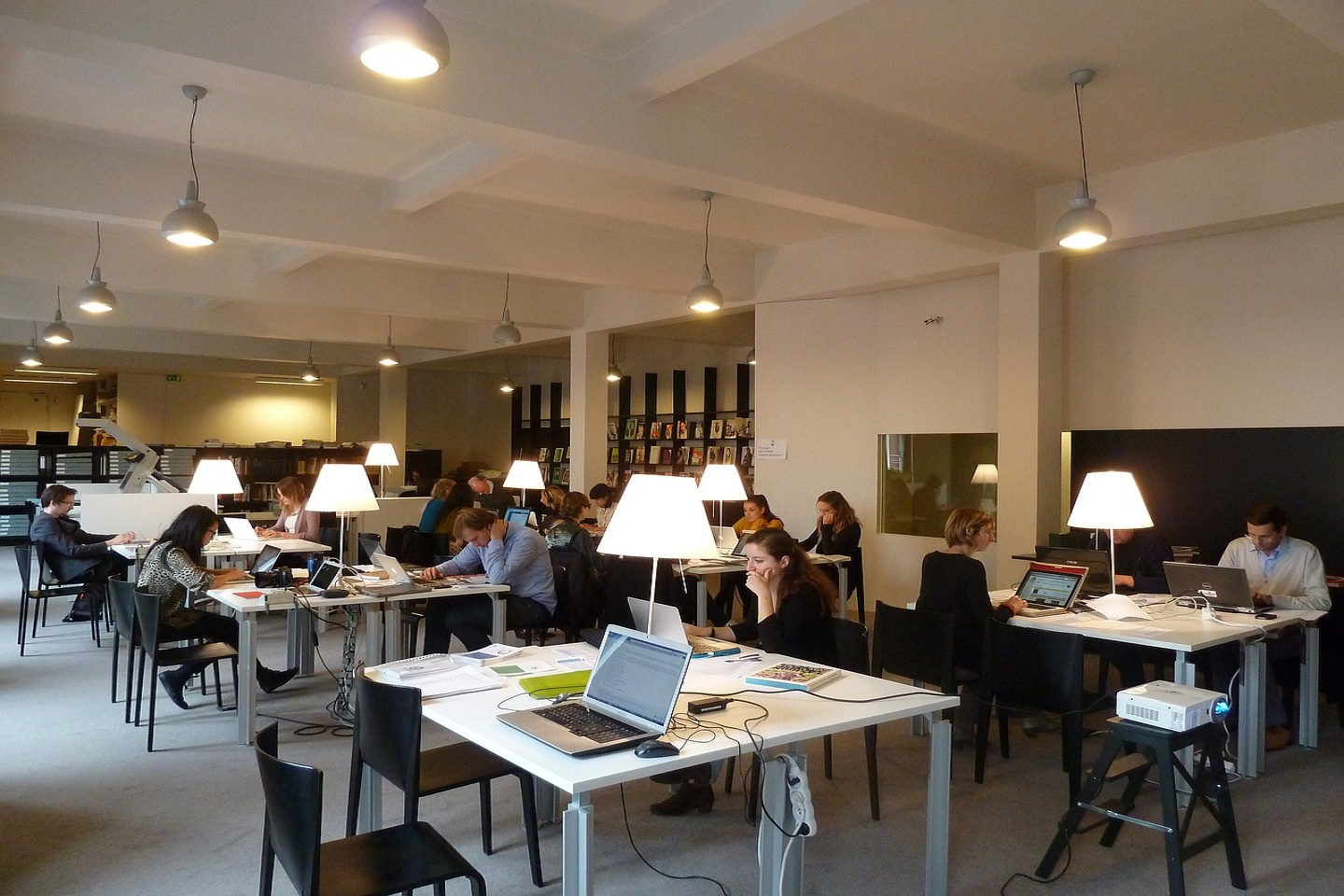 IT Development & Web Solutions